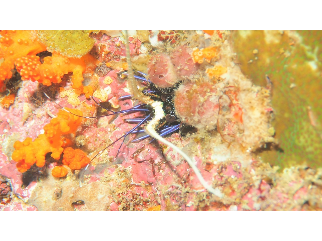 PN111437 - Version 2 PN111437 - Version 2